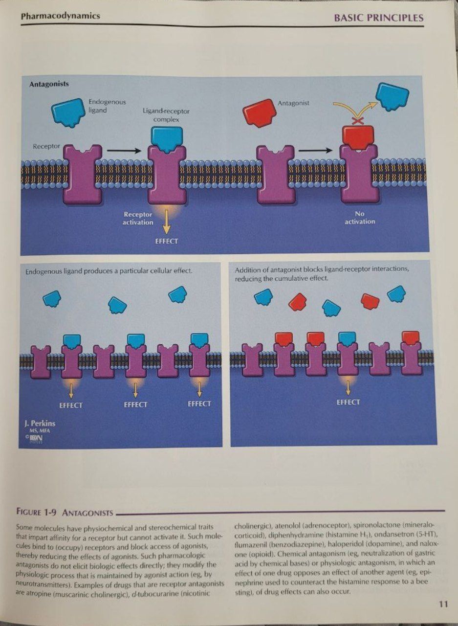 Ілюстрована фармакологія Неттера / Netter's Illustrated Pharmacology.