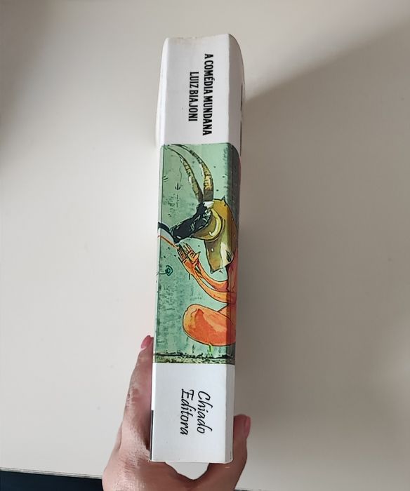 A Comédia Mundana - Livro de Luiz Biajoni