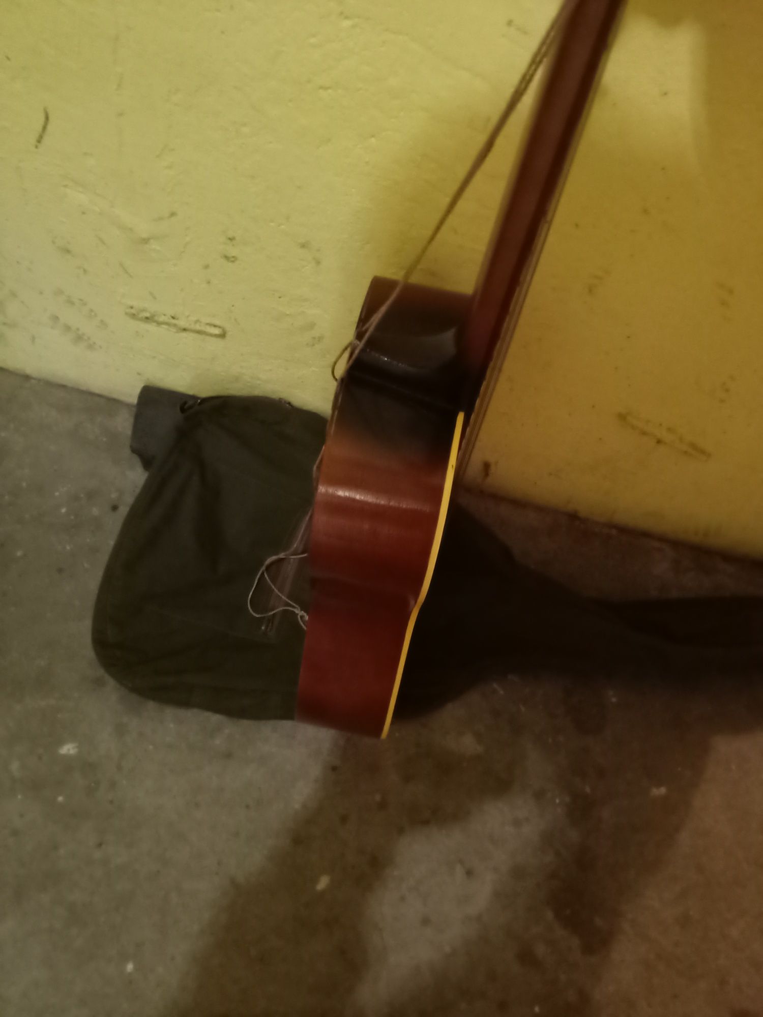 Gitara delfin 12 akustyczna