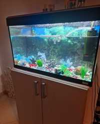 Vendo aquário Fluvial 125L + bomba + móvel+ decoração