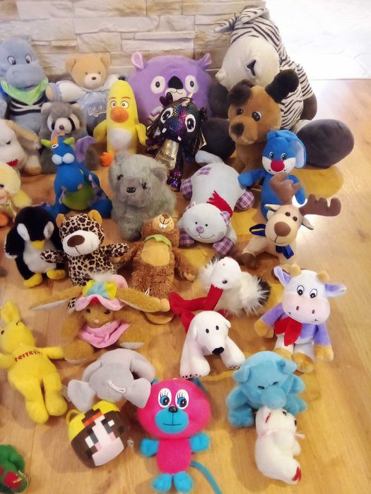 Maskotka pies piesek kot  maskotki kotek pluszak