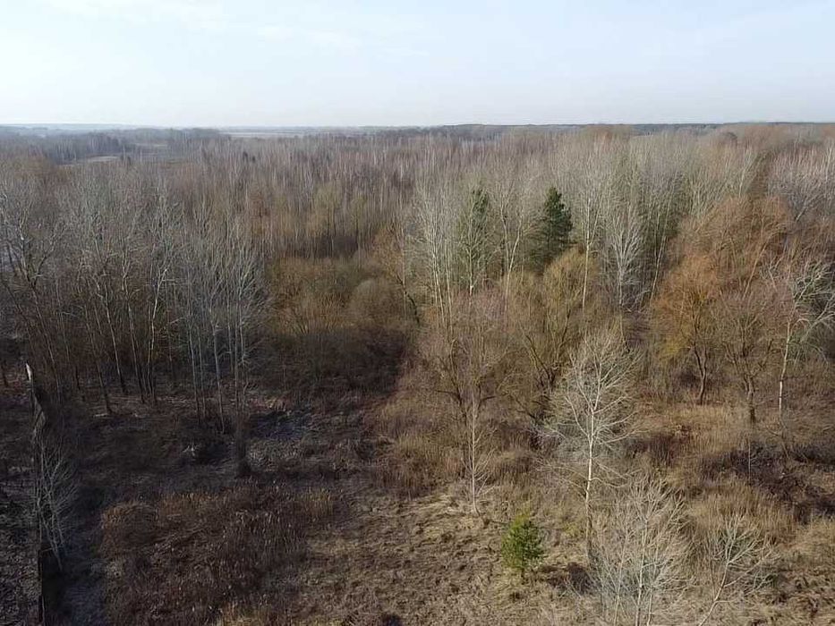 Рожни, ділянка 1га під лісом з виходом до озера