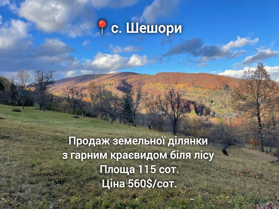 Продаж видової ділянки у с. Шешори 115 сот. Межує з лісом і дорогою
