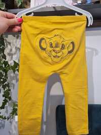Żółte spodnie Cubus dla chłopczyka simba z bawełny organicznej r 80