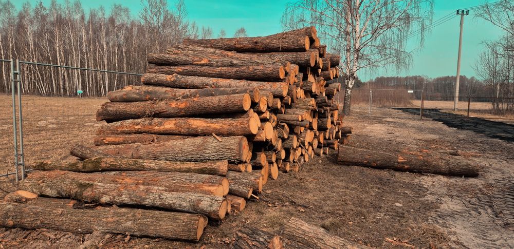 SPRZEDAŻ HURTOWA * Drewno Kominkowe i opałowe *Dąb,Brzoza, CAŁA POLSKA