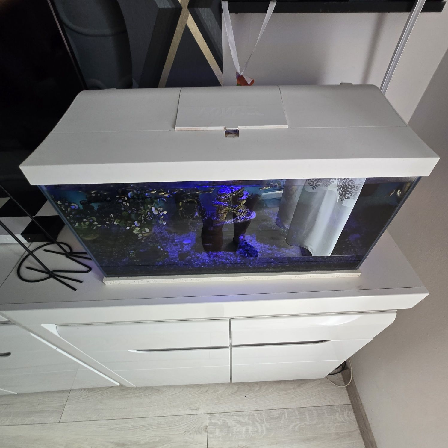 Białe Panoramiczne 60l