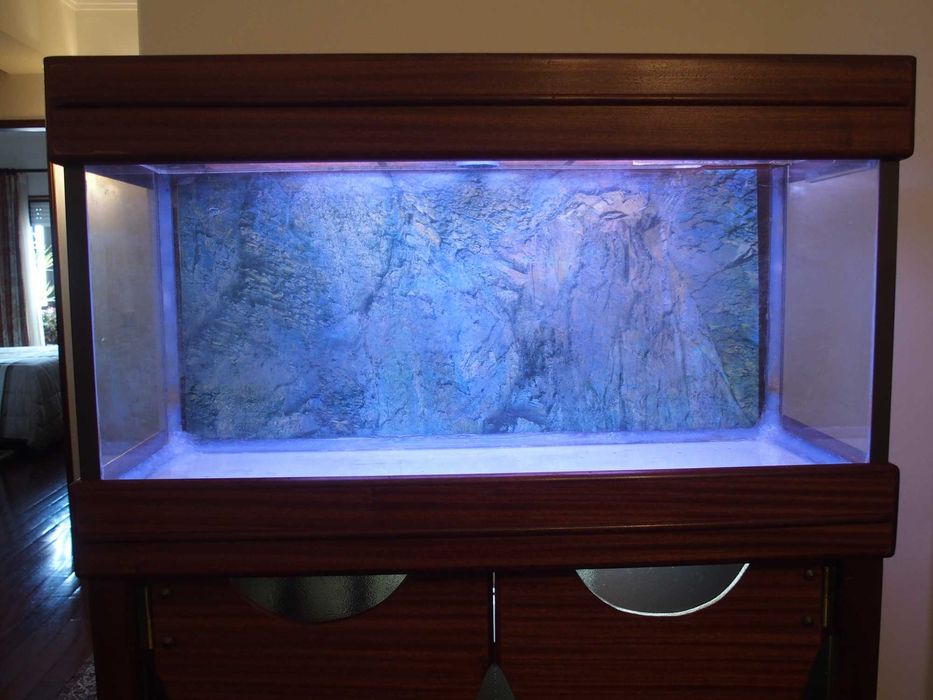 Venda de Aquário completo com filtros e móvel