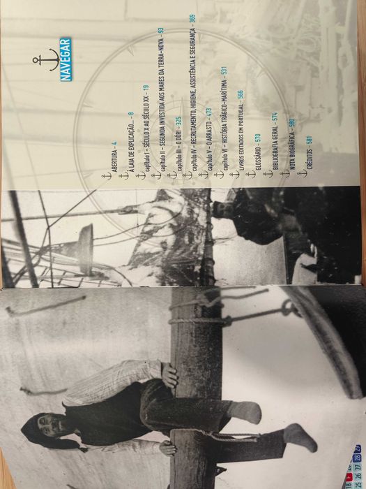 Os Últimos Terranovas Portugueses