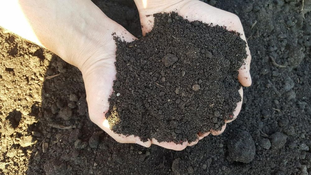 Czarna Ziemia przesiewana pod trawniki