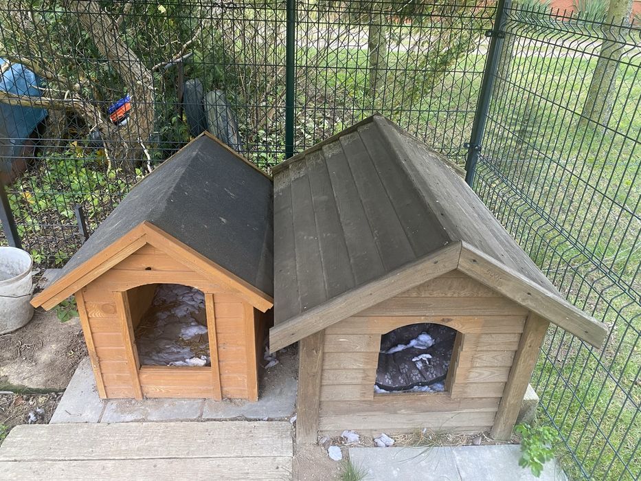 Buda dla psa sprzedam