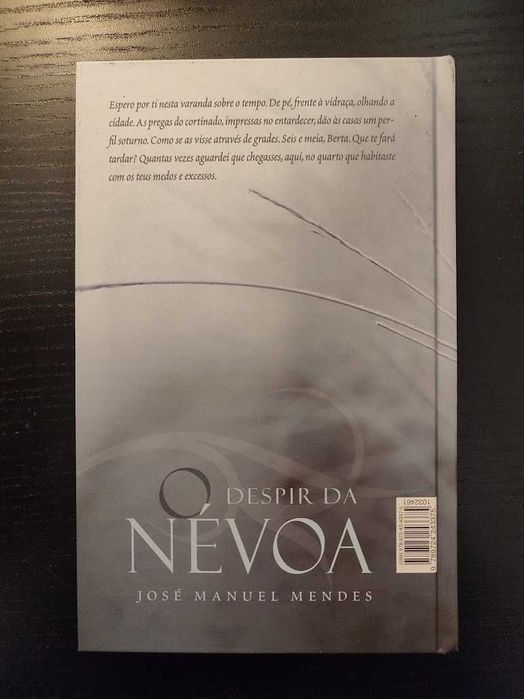(Env. Incluído) O Despir da Névoa de José Manuel Mendes