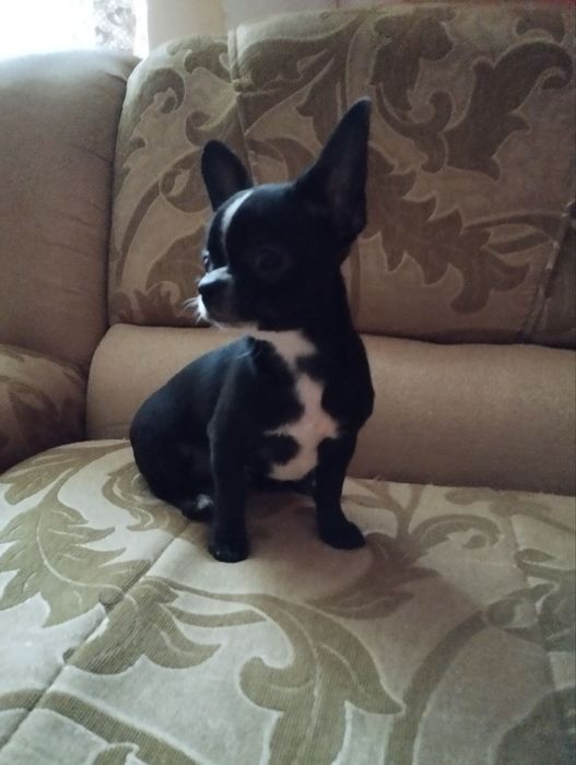 Чорно білий хлопчик