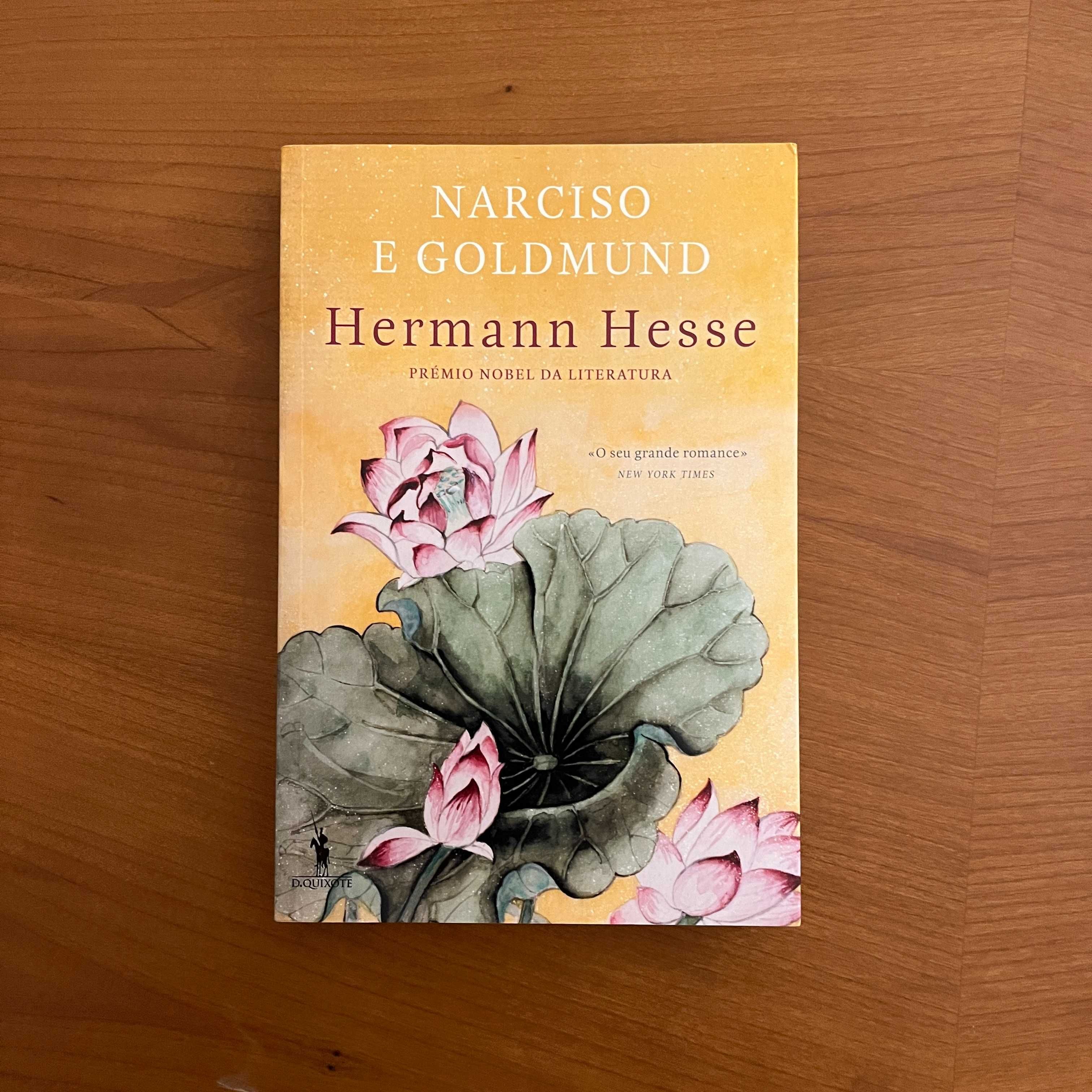 Hermann Hesse - Narciso e Goldmund (envio grátis)