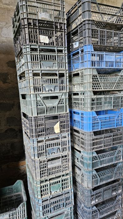 Skrzynki na warzywa/owoce 40x30x15