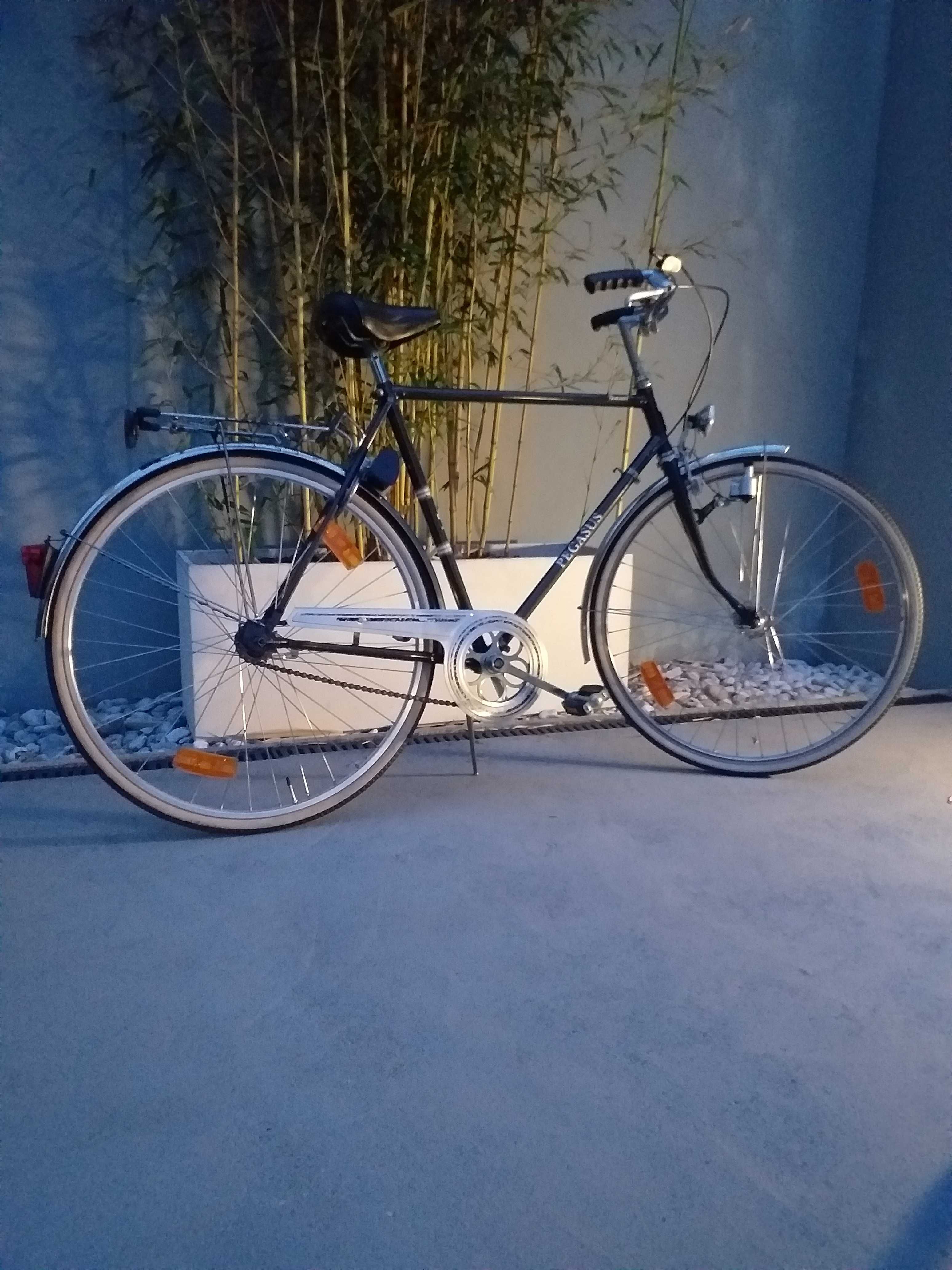 Vendo bicicleta antiga cidade pegasus