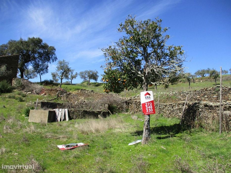 Quinta