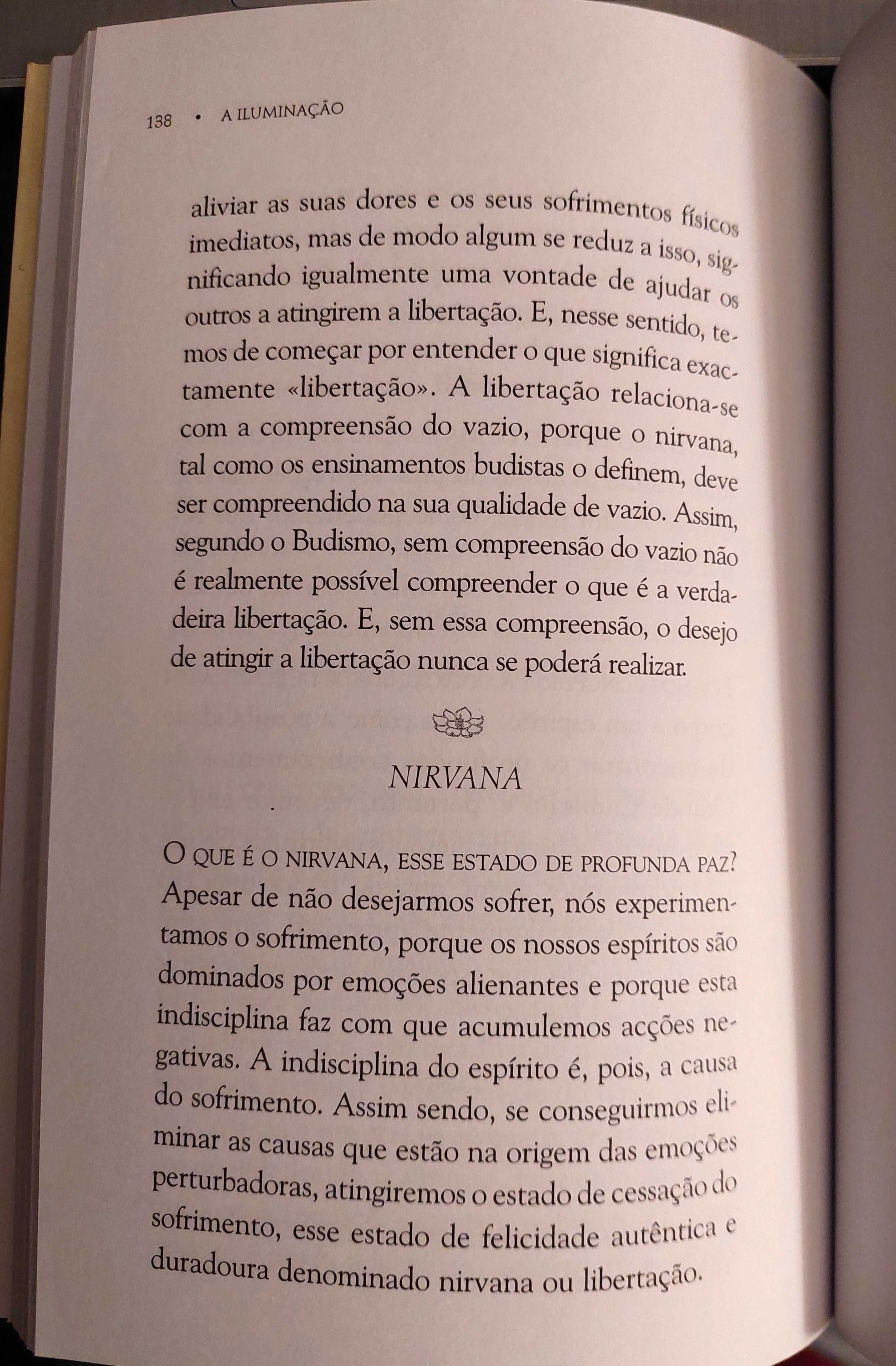 Bernard Baudouin - Sabedoria do Dalai Lama