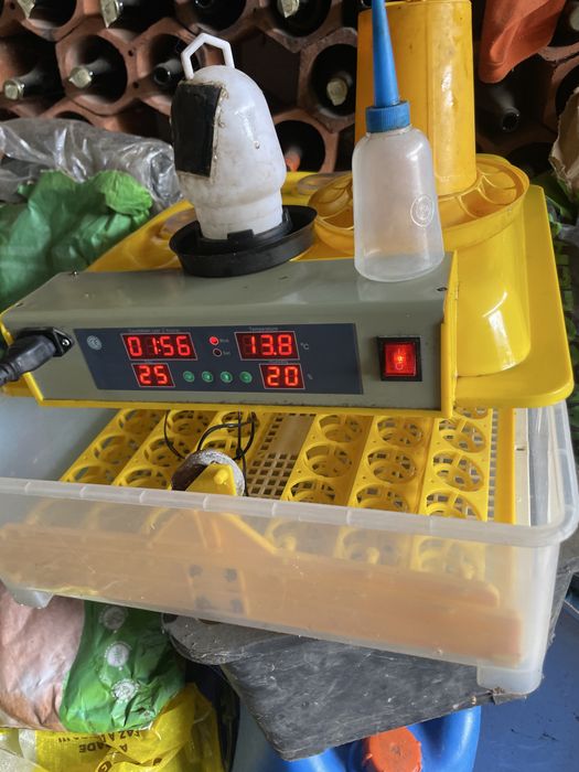 Chocadeira com viragem automatica