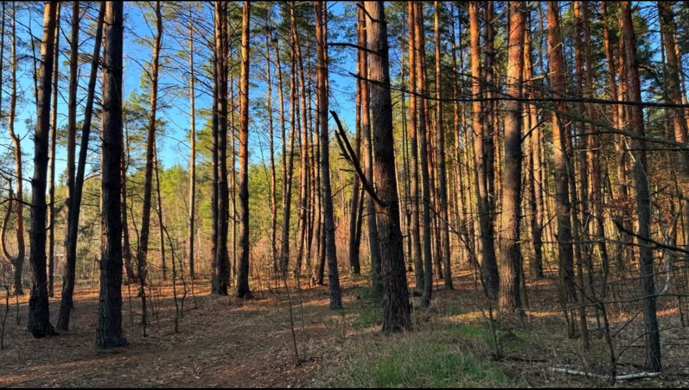 Продаж великої земельної ділянки у Ворзелі