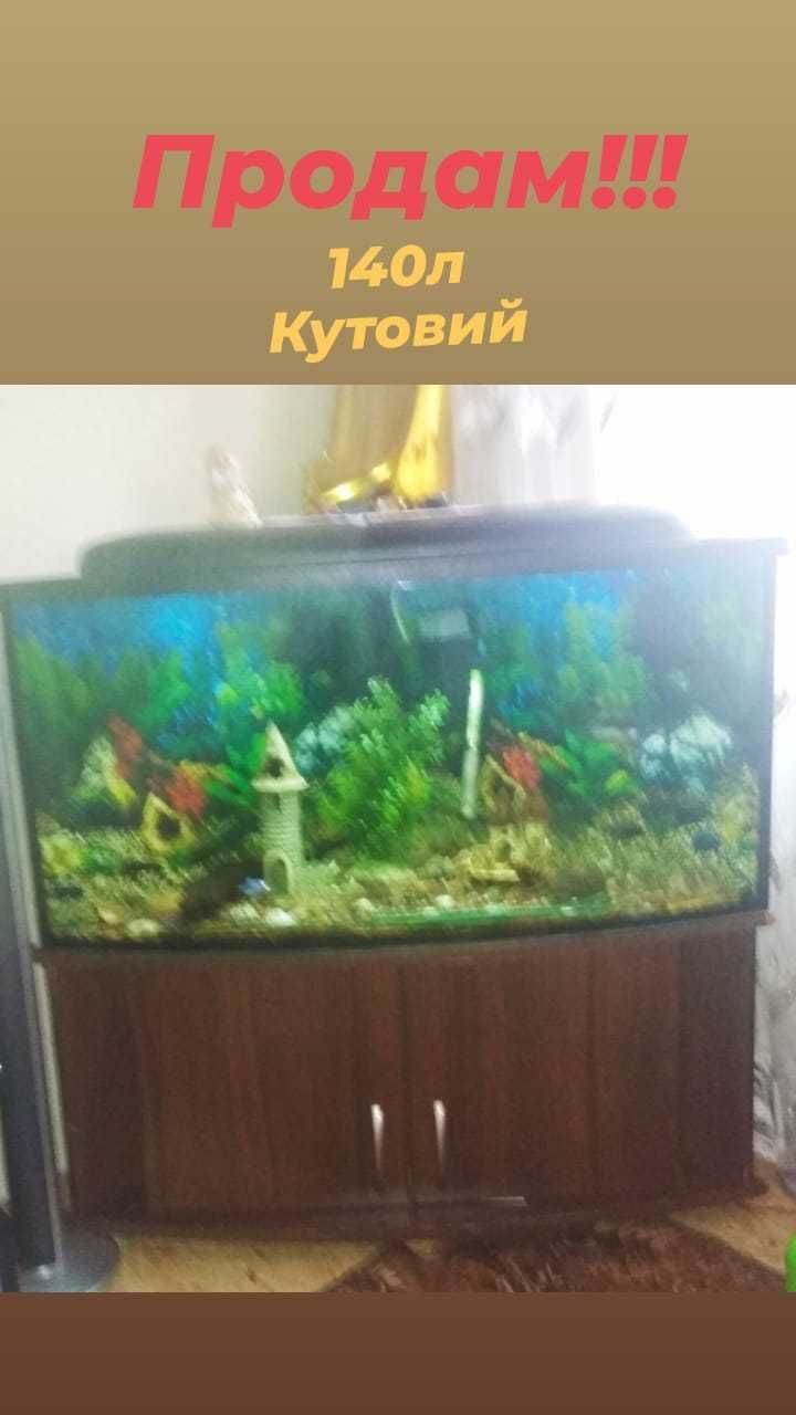 Кутовий акваріум 140л