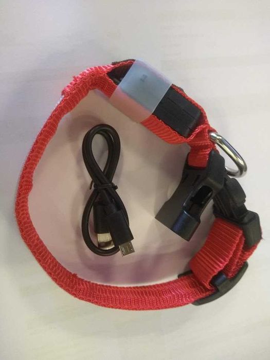 Led Dog Collar Usb Recarregável