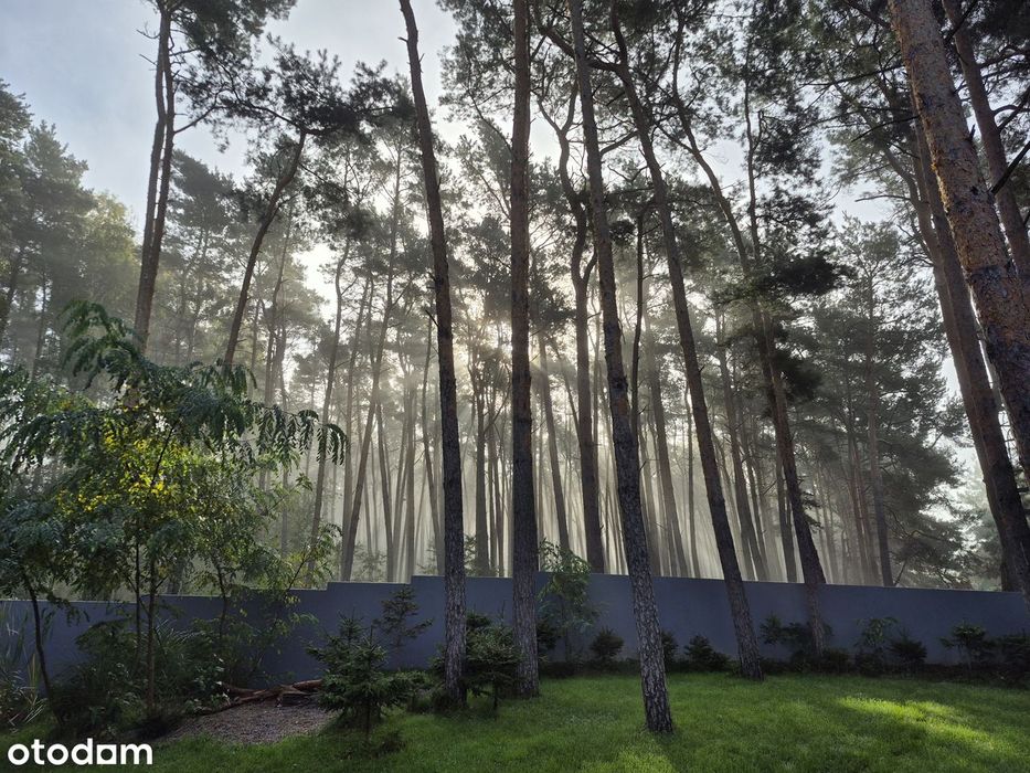Dom w otulinie lasu, Natura 2000