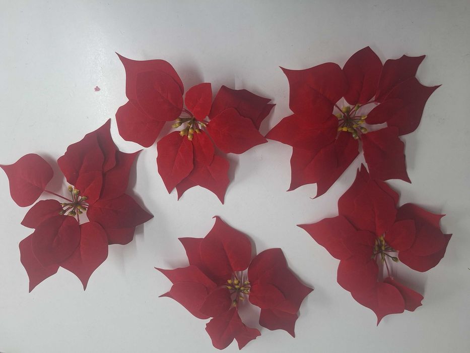 Gwiazda betlejemska  duża 24 cm ZAMSZ