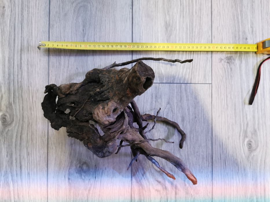 Korzeń red moor do akwarium.