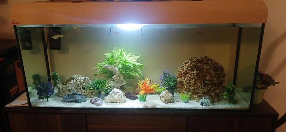 Sprzedam Akwarium 240l