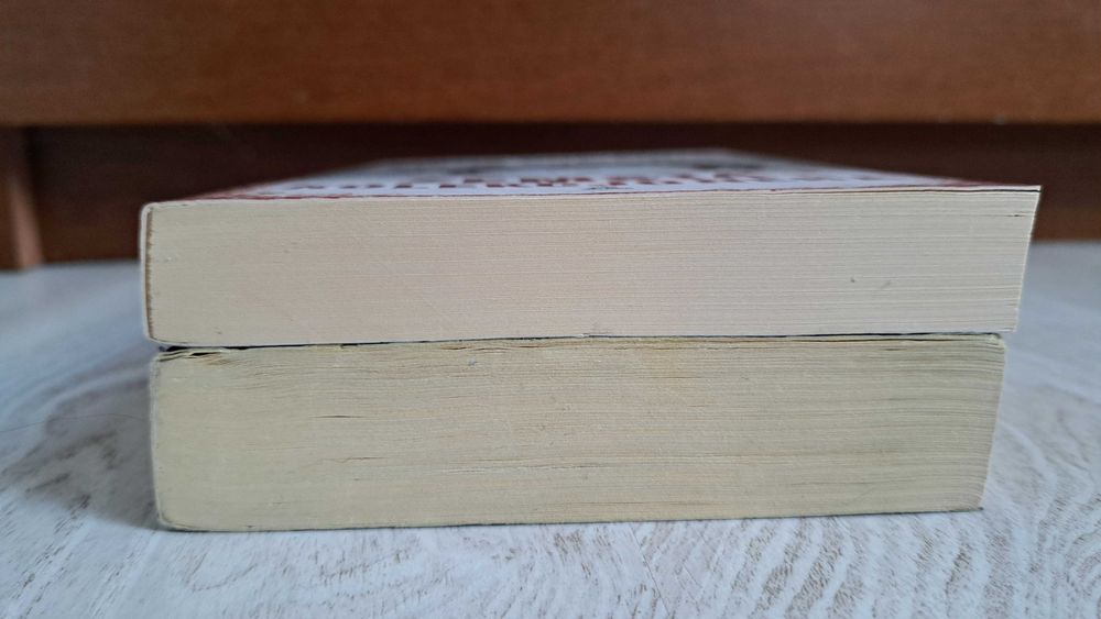 2x Fiona Cummins Zemsta kolekcjonera + Grzechot kości