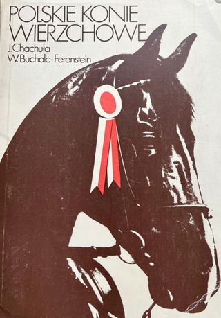 Polskie Konie Wierzchowe - Chachuła, Bucholc-Ferenstein