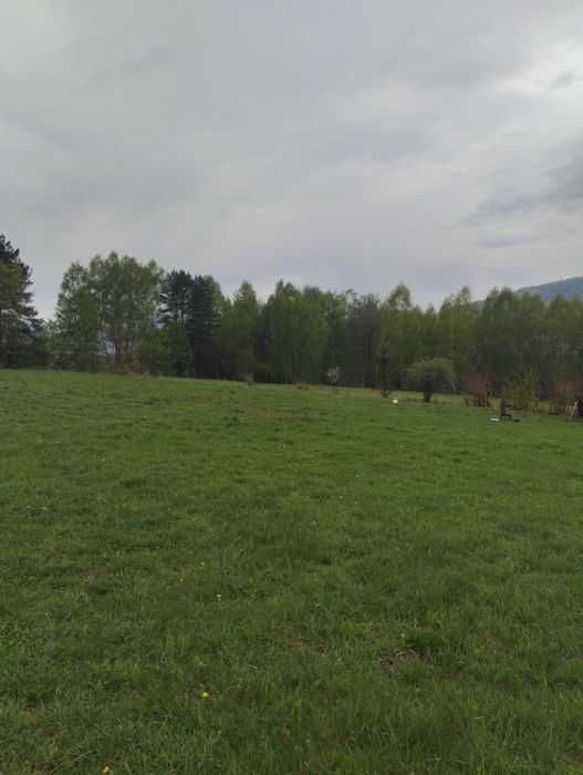 Sprzedam działki rolne