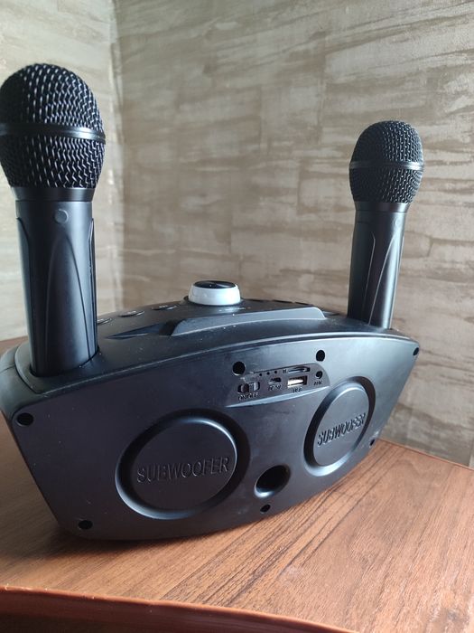 Портативна блютуз колонка, з караоке системою