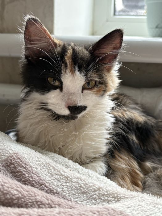 В пошуках родини!!!