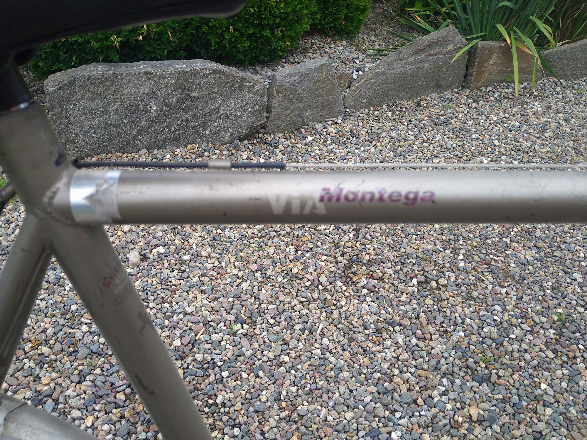 Rower męski univega