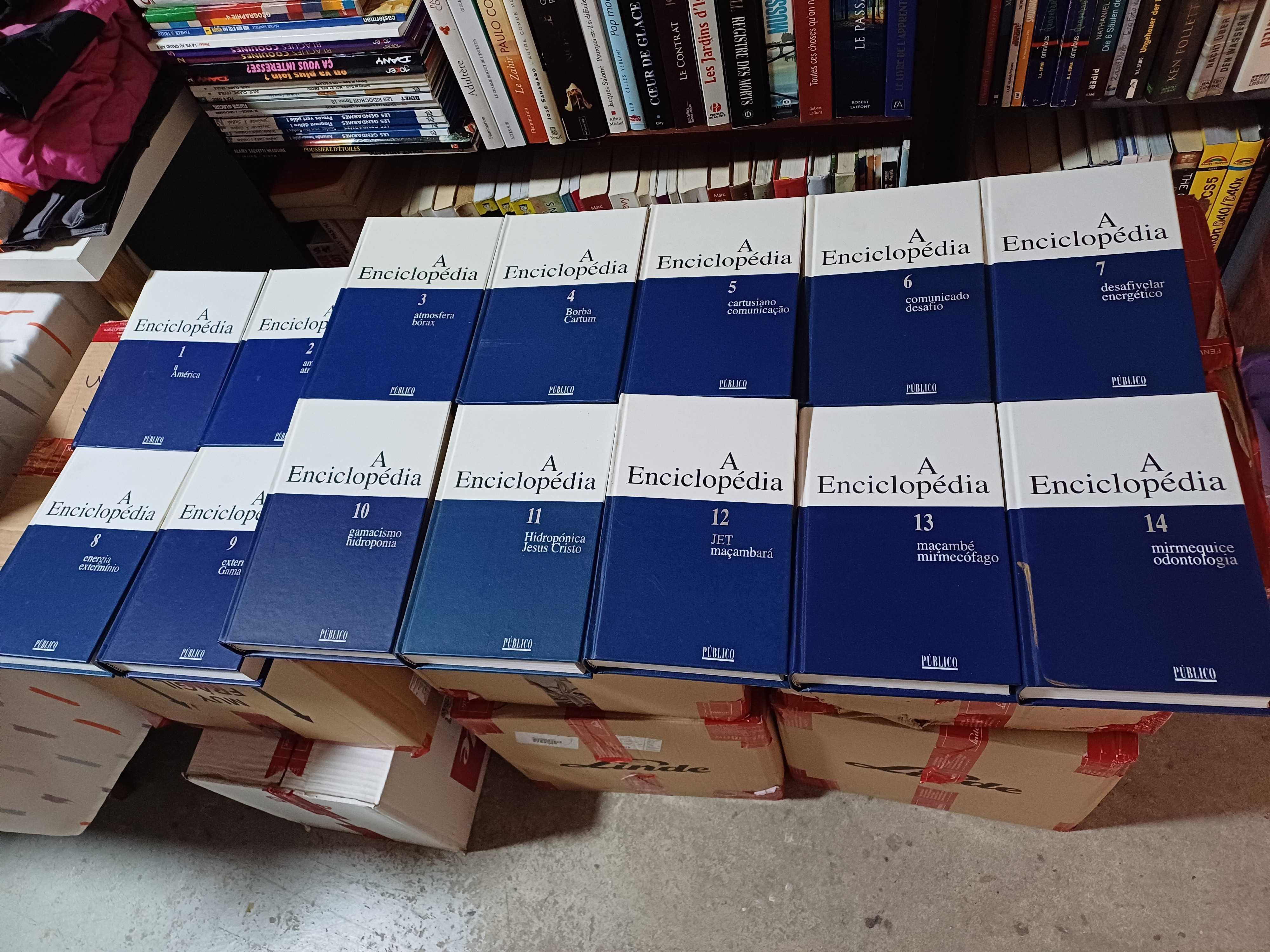 A Enciclopédia do Público 30 volumes