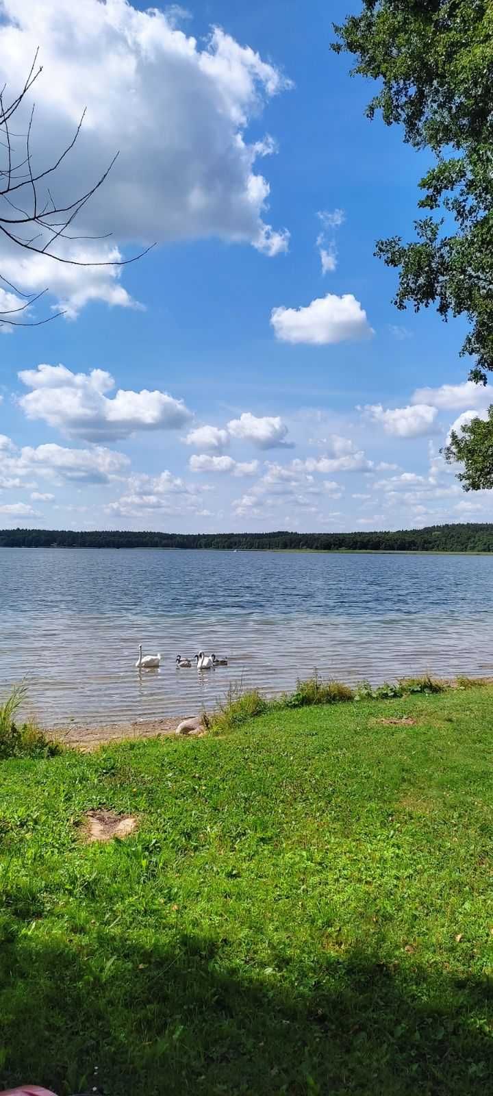 DOMEK HOLENDERSKI do wynajęcia na Mazurach, nad jeziorem.