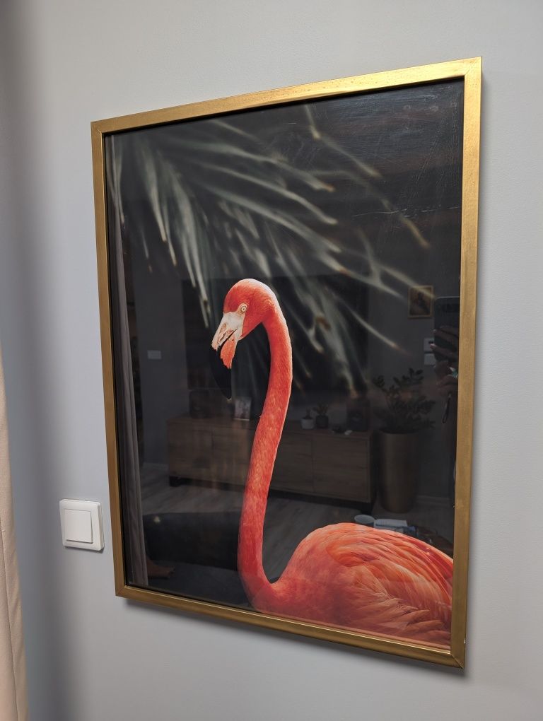 Plakat flaming w złotej ramie