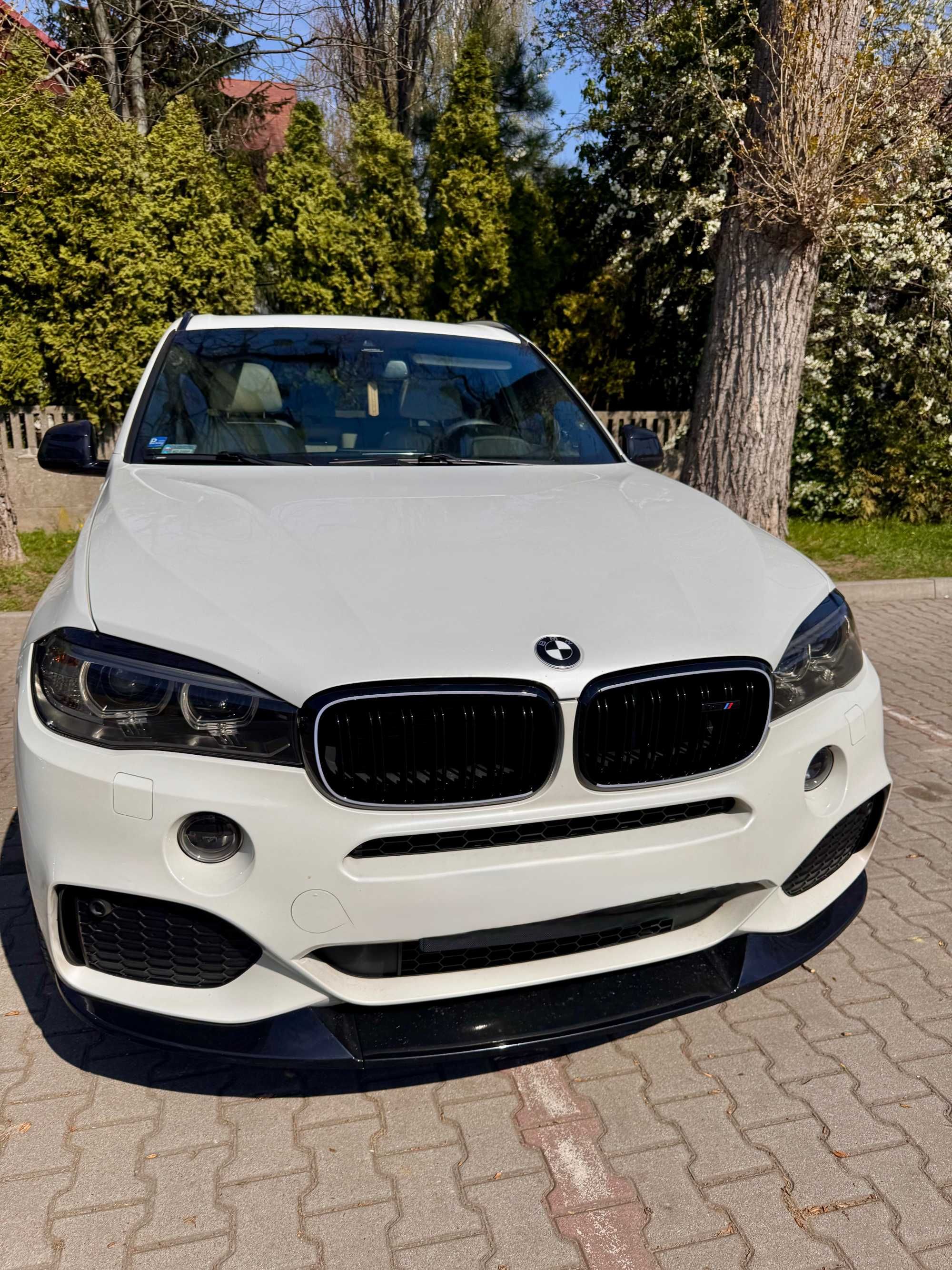 Atrapa LED światło Nerki Grill Kratka Połysk Czarna do BMW X5 F15 X6