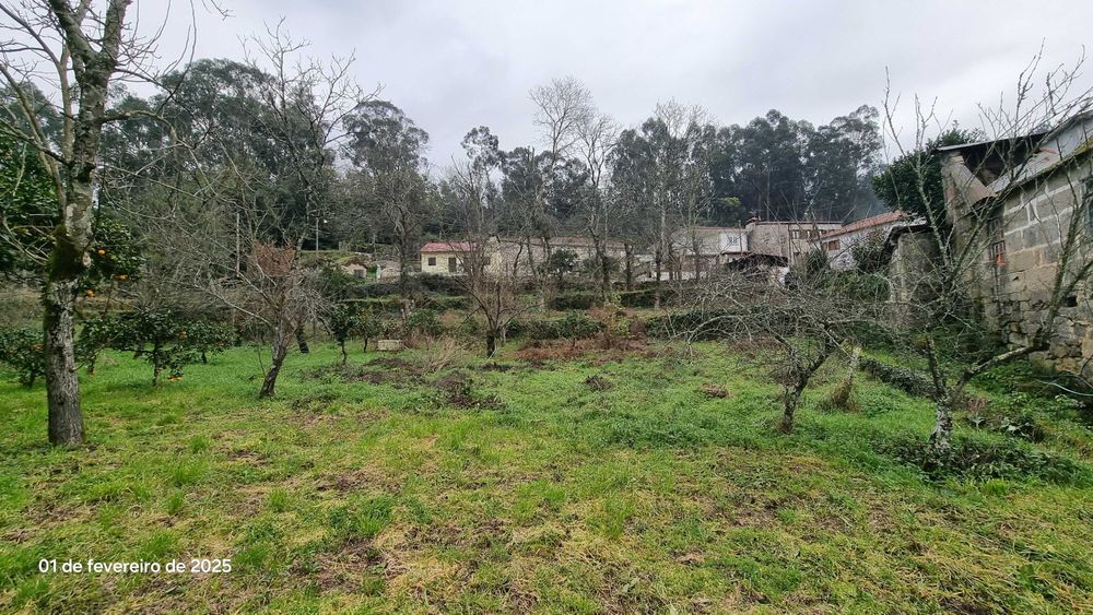 Quinta para restaurar 3.000m a 3km praia fluvial Cabeça Santa Penafiel