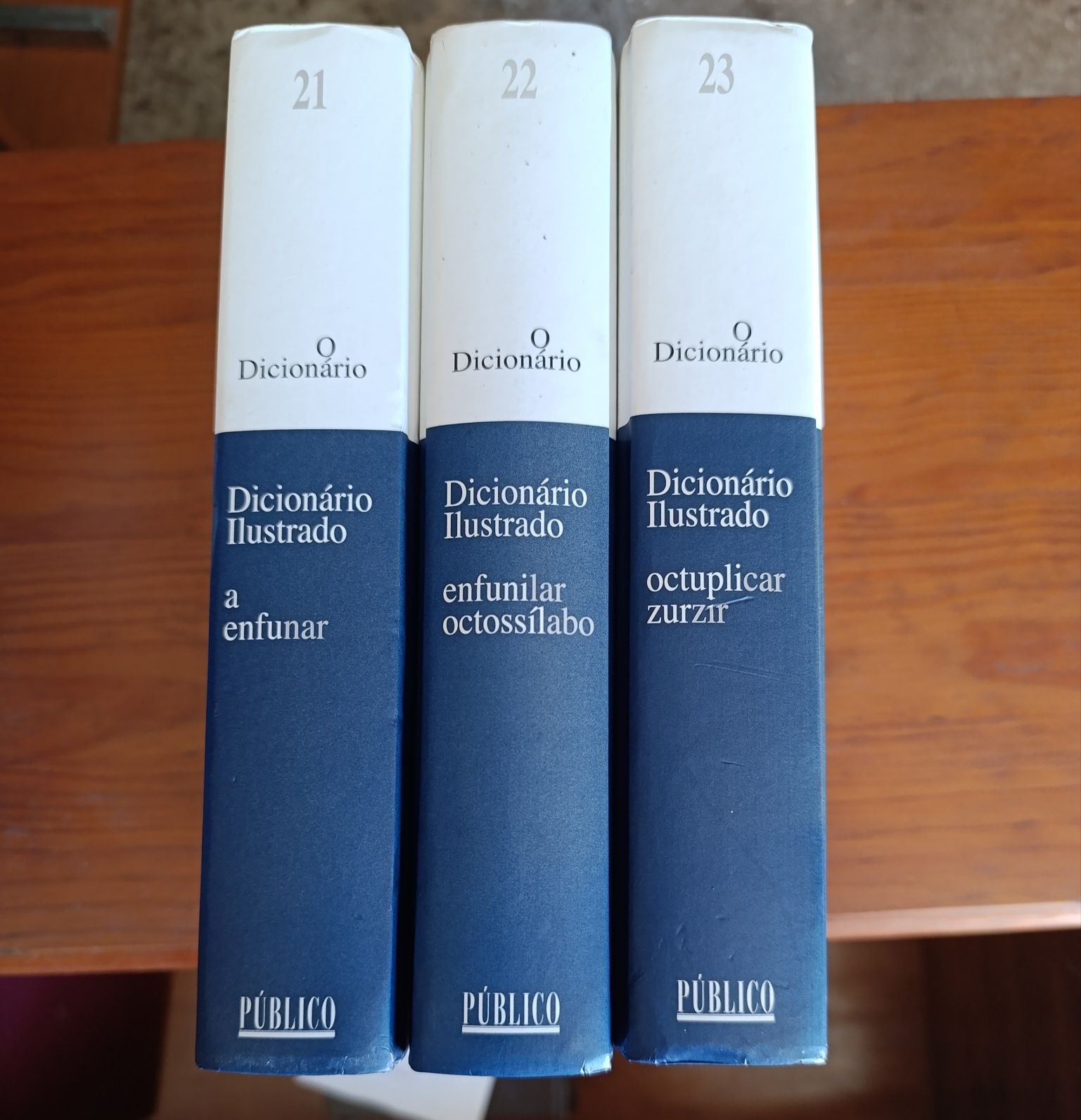 Dicionários Língua Portuguesa Público