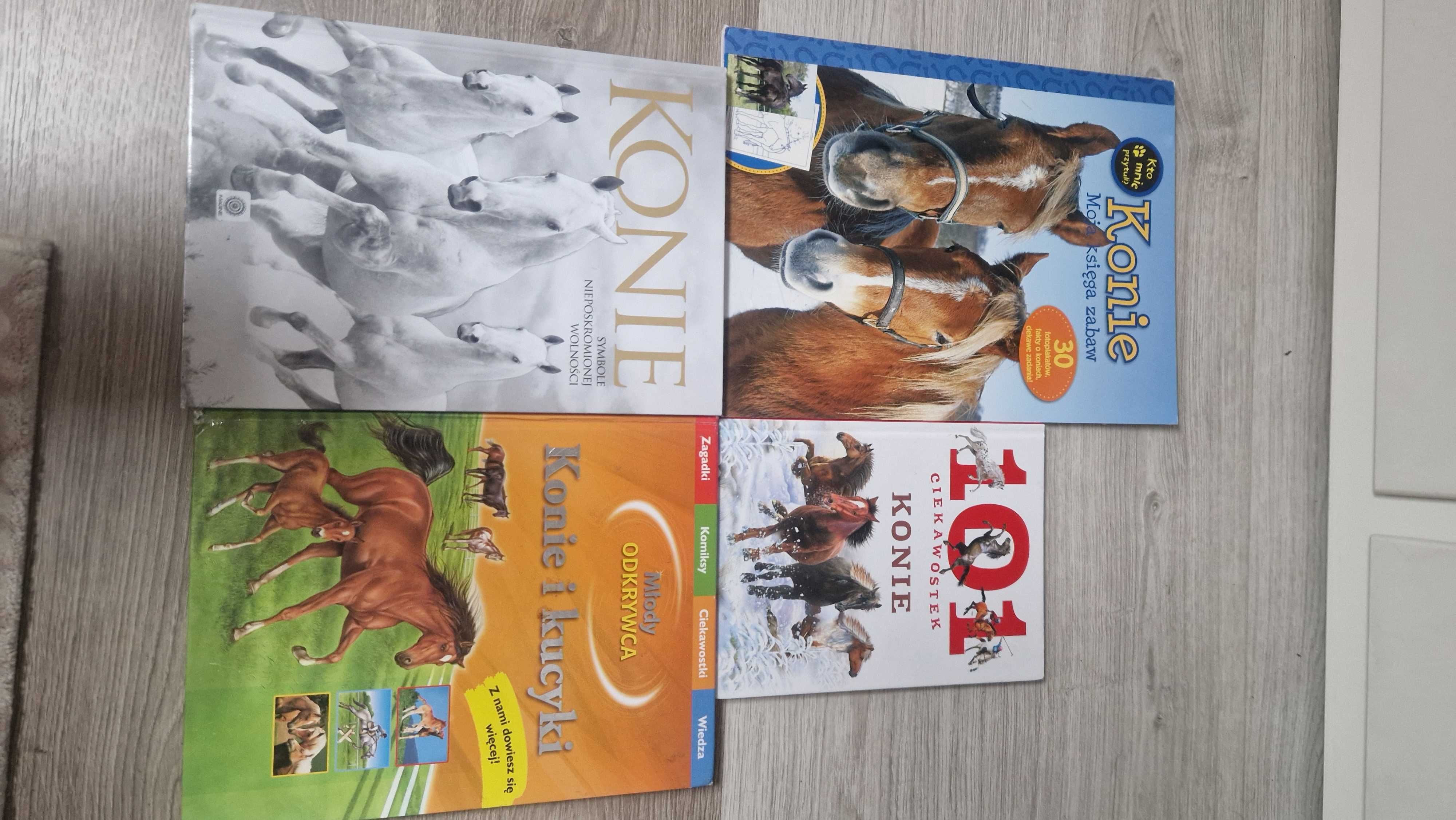 Zestaw książek i puzzli o koniach, idealny prezent