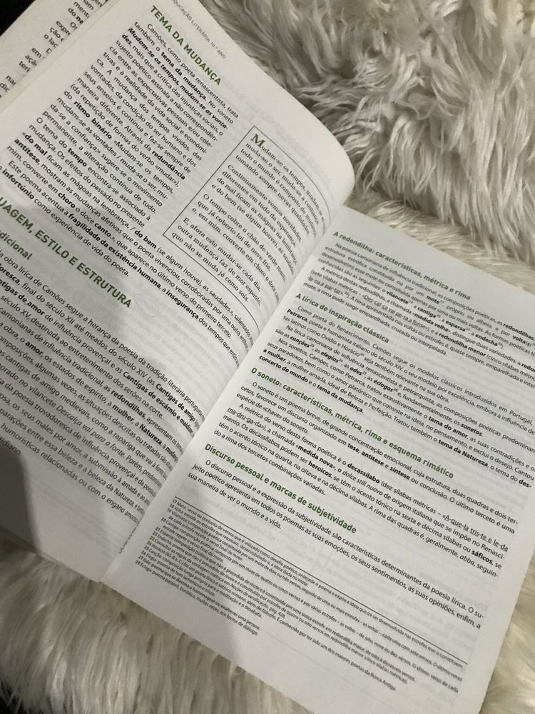 Manual de preparação para o exame de Português 2018 Raiz Editora