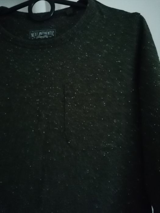 Zestaw koszulek Next/lupilu