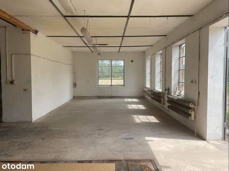 Własny biznes w swojej nieruchomości. Hala i biura z dużym terenem!
