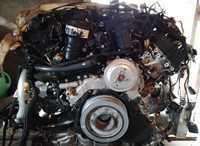 Q7 4M двигун двигатель