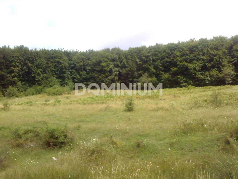 Продається земля у с. Нанково