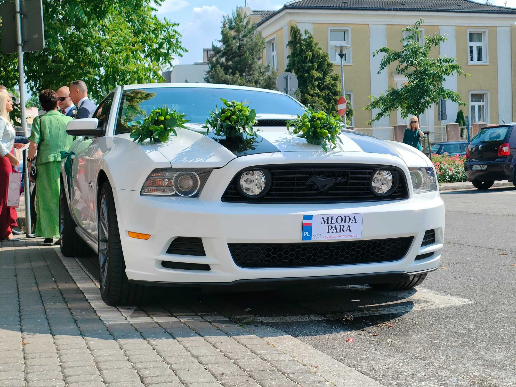 Mustang GT 5.0 do ślubu, biały | Terminy 2025