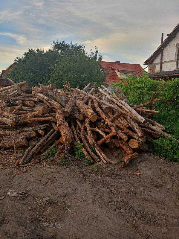 Sprzedam drewno na opal sosna.