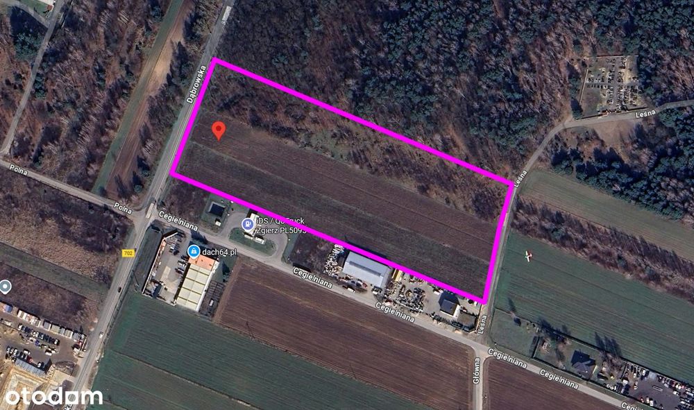 Dąbrówka Wielka | 3 ha pod inwestycję - usługi, rekreacja, las, MPZP